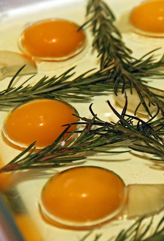 HarkaCarpaccio_2