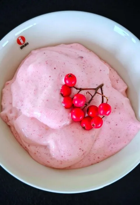 Puolukka-pihlajanmarjavispipuuro