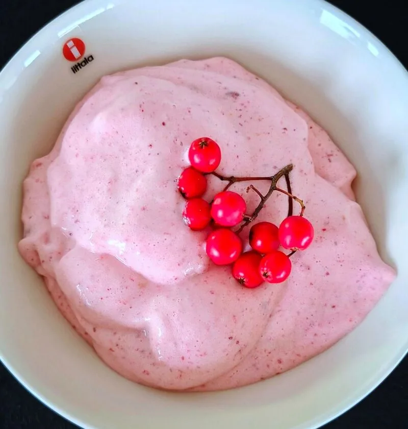 Puolukka-pihlajanmarjavispipuuro